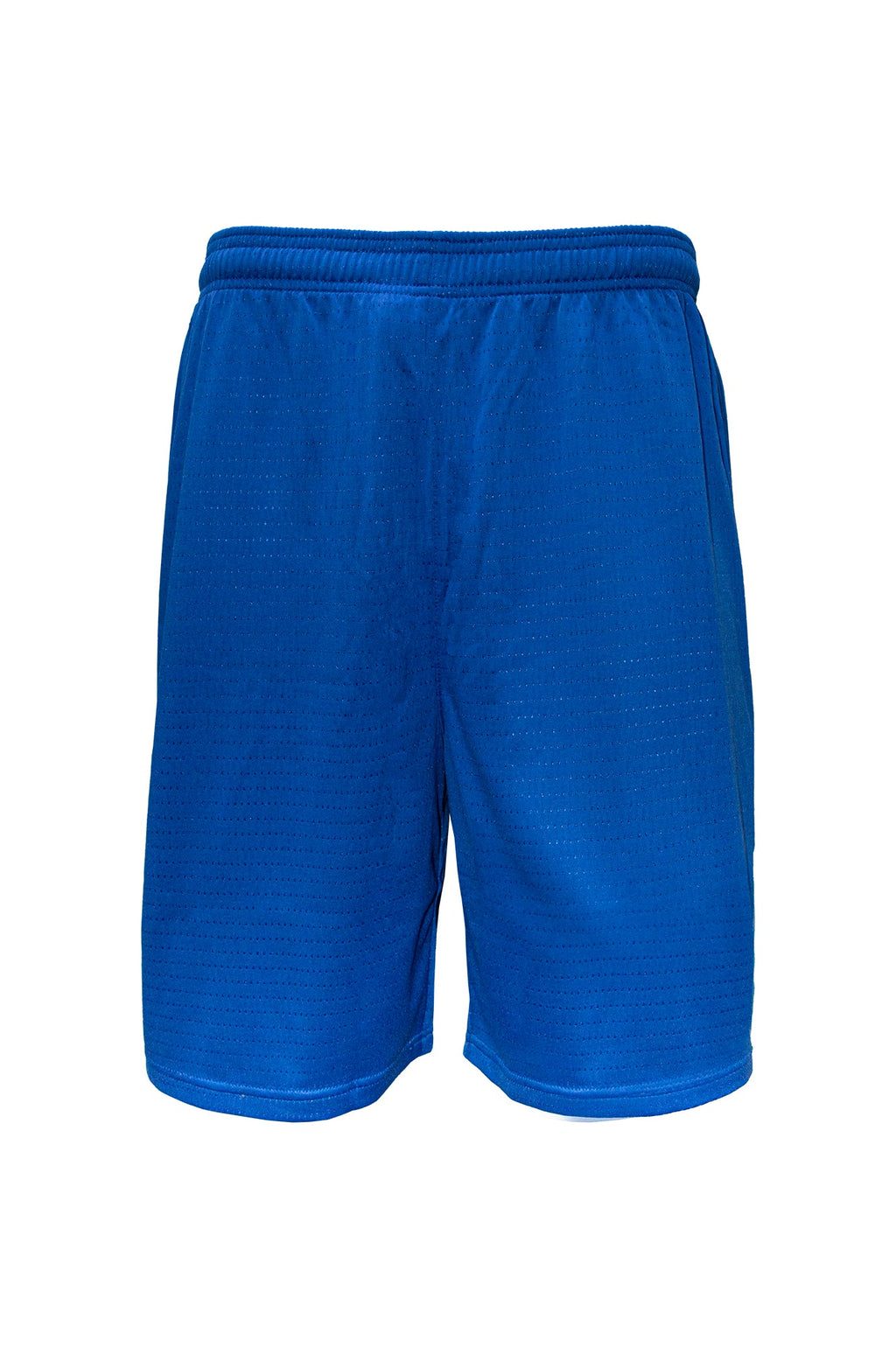 Swish Boys Basketball Shorts - Royal