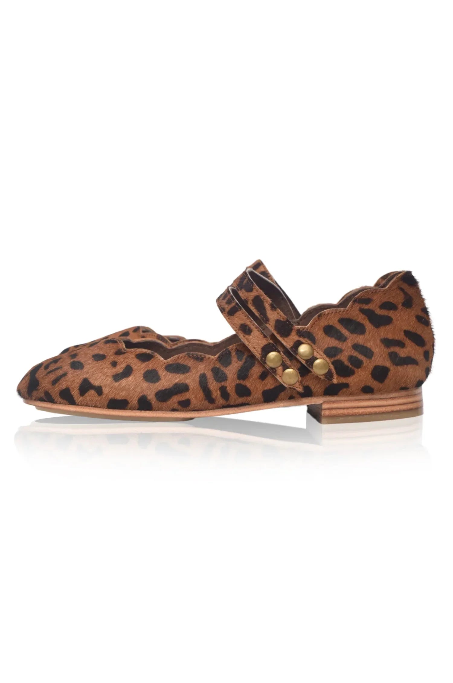 Daydream Animal Printed Flats - Modz Designs